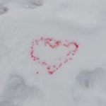 phoca_thumb_m_zajci a snh  13 Fotogalerie